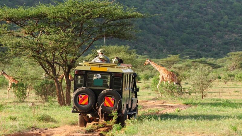 Safari Inolvidable: Descubre las Maravillas de Kenia en tu Próximo Viaje