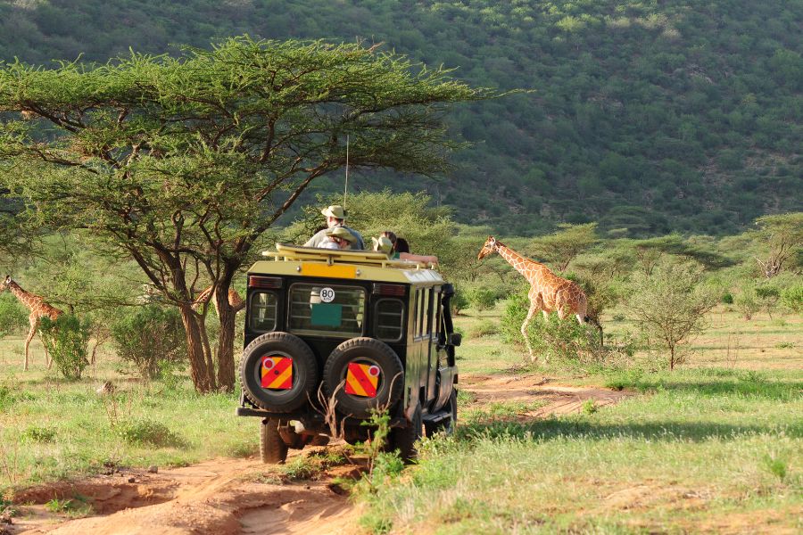 Safari Inolvidable: Descubre las Maravillas de Kenia en tu Próximo Viaje
